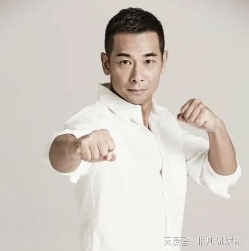 武打明星网红有哪些名字,盘点当代武打明星网红的风采