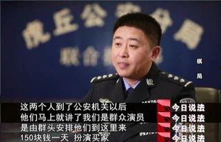 今日说法版宝强买瓜,揭秘娱乐圈的“瓜田”风云