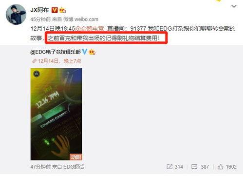 今日说法版宝强买瓜,揭秘娱乐圈的“瓜田”风云