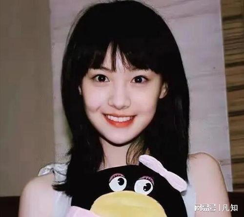 多地明星网红有哪些,多地明星网红风采大盘点