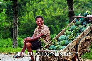 吃瓜今日吃瓜汇总在线观看,在线观看，一网打尽热点事件