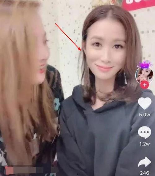 明星网红的滤镜有哪些,滤镜背后的真实与虚幻