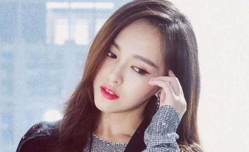 明星网红何婧简历图片,从网红到明星，揭秘她的璀璨成长之路