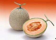 2024哈密瓜今日报价,今日报价一览