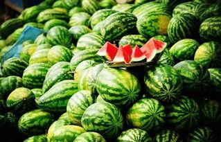 乐亭今日次瓜价格,市民享实惠