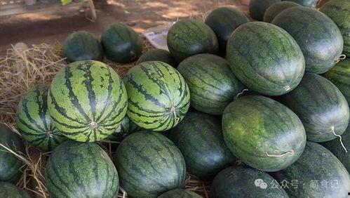 乐亭今日次瓜价格,市民享实惠