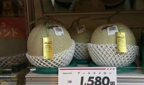 海南蜜瓜今日行情价格,甜蜜价格波动，市场供需动态解析