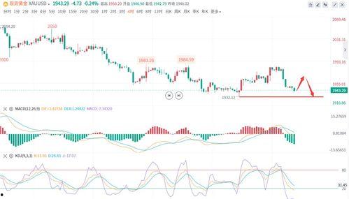 合瓜今日价格行情走势分析,洞察市场趋势与投资策略