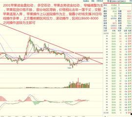 合瓜今日价格行情走势分析,洞察市场趋势与投资策略