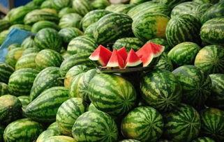 青龙脆瓜今日报价,新鲜上市，品质保证，尽享夏日清凉！”