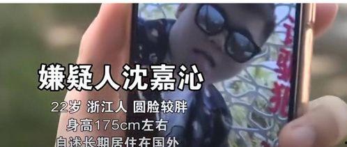 明星网红被盗窃事件案例,揭秘网络红人财产安全的隐忧