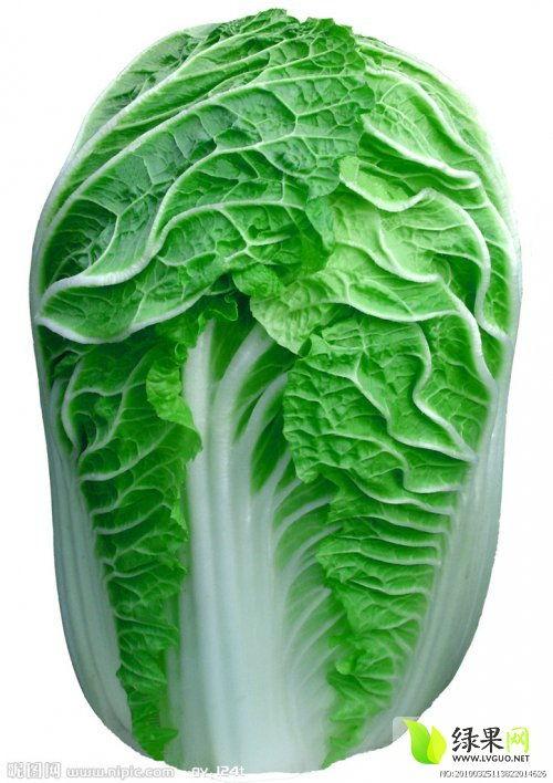 莘县燕店今日瓜价