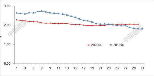 今日金红宝瓜价格走势,今日市场行情解析