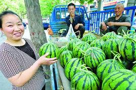 今日瓜价海南,今日瓜价行情一览