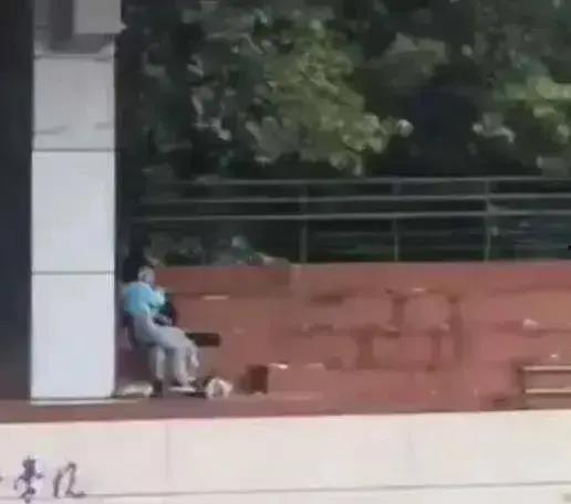 翰林院今日吃瓜事件视频,揭秘幕后真相与网络舆论风暴