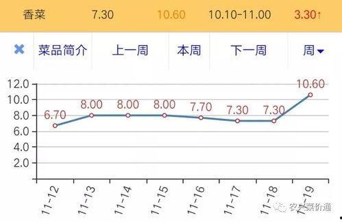 今日荷兰瓜价格走势图最新,最新走势图揭示市场动态
