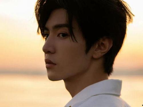 男明星网红艺人有哪些,网络与舞台的璀璨之星