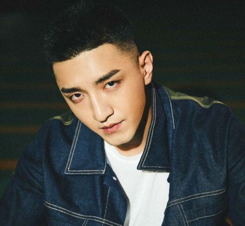 男明星网红艺人有哪些,网络与舞台的璀璨之星