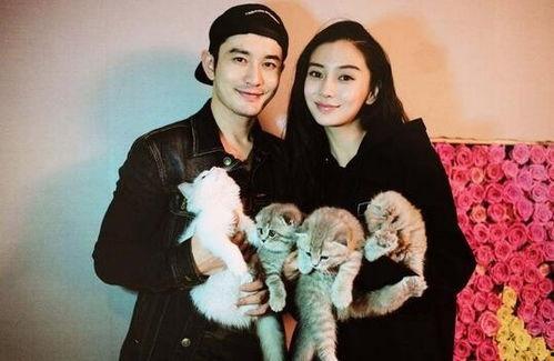 和明星网红合照卡点,捕捉时光精彩瞬间