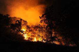 重庆山火明星网红有哪些,众志成城，共抗火魔