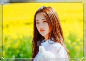 拍照明星网红是谁,揭秘拍照达人背后的故事