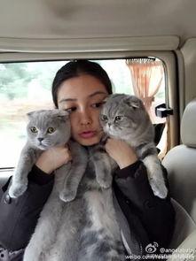 明星网红宠物是谁啊,揭秘明星网红宠物的神秘身份