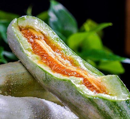 山东博洋瓜今日零价行情