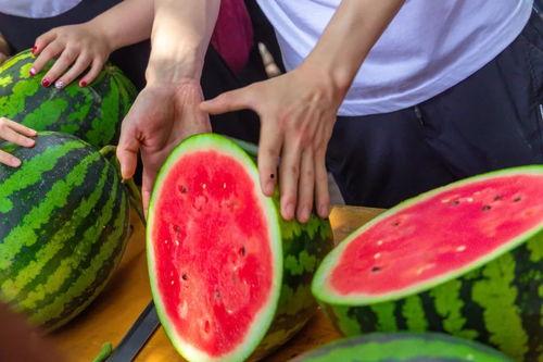 91今日吃瓜,揭秘娱乐圈最新热点事件