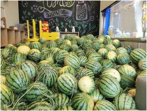 91今日吃瓜,揭秘娱乐圈最新热点事件