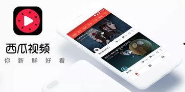 今日头条小瓜新消息,今日头条最新动态揭秘！”