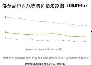 今日兰瓜价格行情走势最新,今日行情走势解析