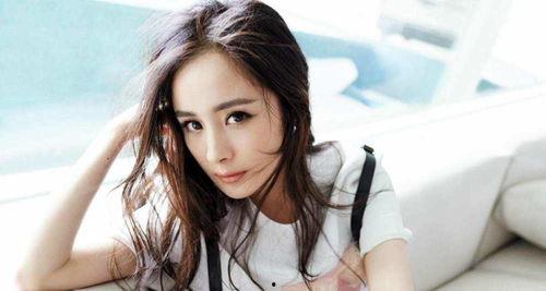 明星网红收入高吗女