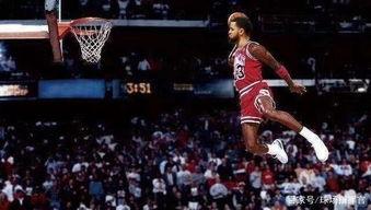 瓜哥今日扣篮视频回放在哪看,精彩瞬间不容错过！