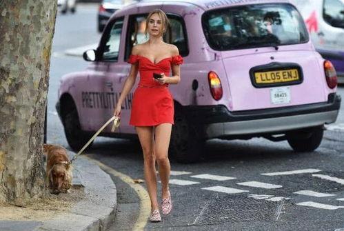 明星网红遛狗是谁啊,明星网红遛狗背后的温馨瞬间