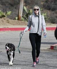 明星网红遛狗是谁啊,明星网红遛狗背后的温馨瞬间