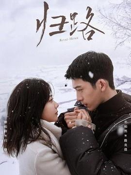 归路电视剧,探寻人生归途，揭秘情感纠葛