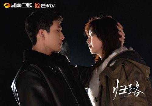 归路电视剧,探寻人生归途，揭秘情感纠葛