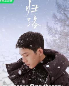 归路电视剧,探寻人生归途，揭秘情感纠葛