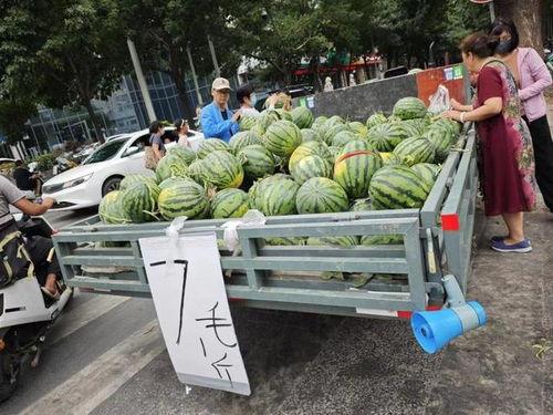 横店今日大瓜最新消息