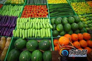今日海南种什么瓜菜好,瓜菜品种推荐