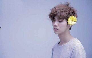 男人明星网红有哪些名字,盘点当下热门男性明星网红风采