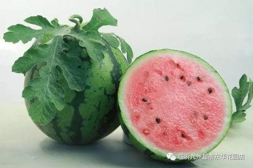 51吃瓜不打洋今日发瓜