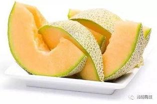 山东潍坊哈密瓜今日价格,价格行情一览