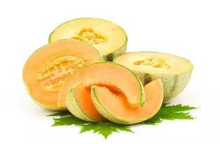 山东潍坊哈密瓜今日价格,价格行情一览