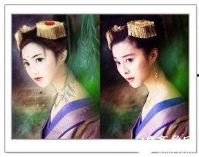 明星网红插画大全集高清,插画大全集高清解析