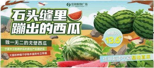 瓜哥今日吃瓜热门大瓜,今日热门大瓜事件深度解析