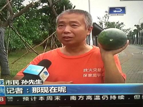 今日吃瓜热门事件最新消息视频,吃瓜群众聚焦最新事件，视频揭秘幕后真相