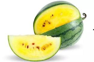 吃瓜今日吃瓜必吃瓜图片,吃瓜群众聚焦的瓜界焦点图鉴