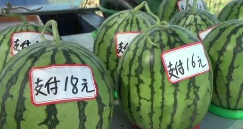 襄阳今日吃瓜新闻,揭秘街头热议焦点