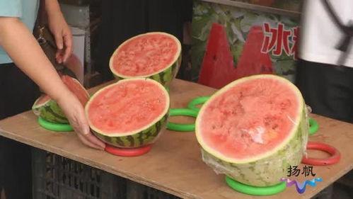 今日份热瓜江苏,聚焦热点事件，解码社会现象